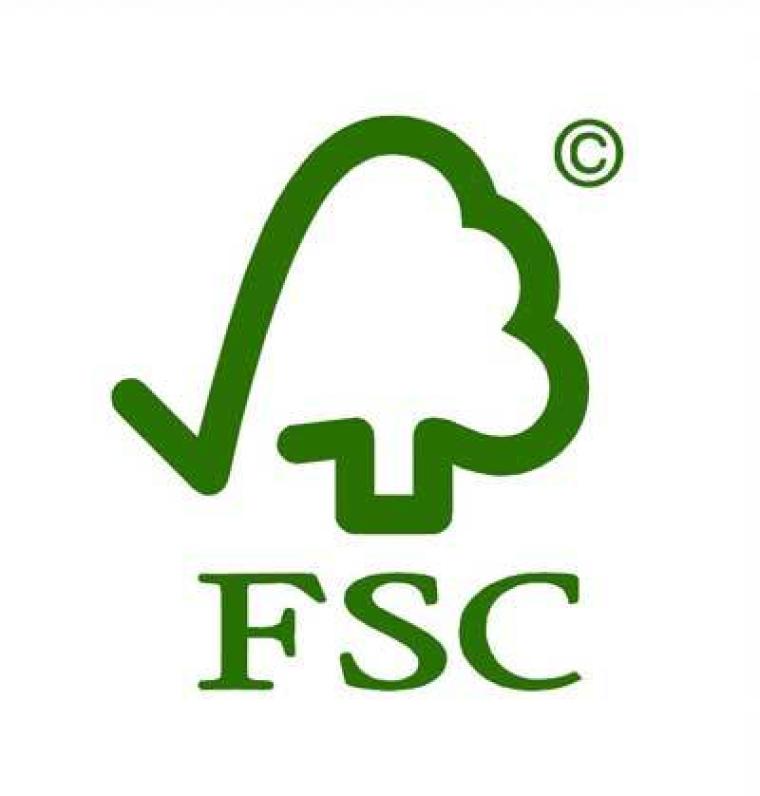 what-is-forest-stewardship-council-explained